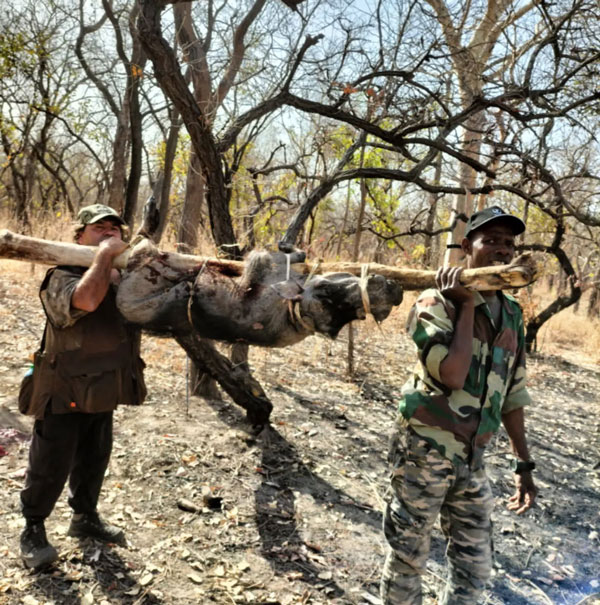 chasse-sensorielle–humaine